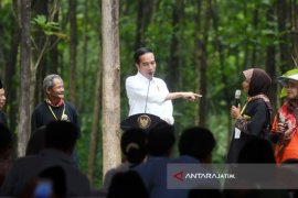 President Jokowi Hands Over Social Forestry Deccree in Corn Field