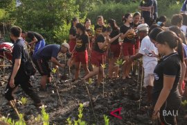KKP anggarkan 900 ribu dolar AS karbon biru