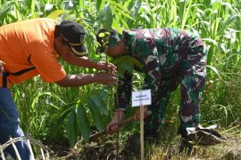 Kodim Demak tanam 5.000 bibit pohon