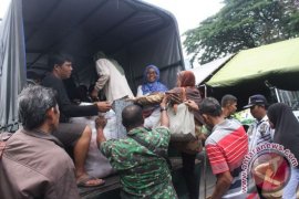 Penumpang telantar di Terminal Penajam