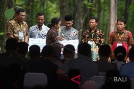 Bali Nusra potensial serap KUR petani garap lahan hutan