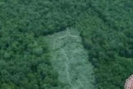 Syarat Dinyatakan Lengkap, RTRW Riau Ditarget Sudah Terbit Pekan depan