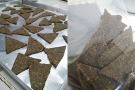 KrikTos, Tortilla jangkrik ala IPB