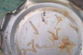 Warga Sungai Pakning Juga Temukan Cacing dalam Sarden Mackerel