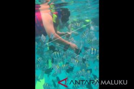 Pemkot Ambon bangun "diving center" di Nusaniwe