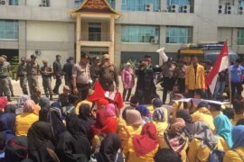  Harga Kelapa Anjlok, Ratusan Petani Unjuk Rasa di Kantor Bupati Inhil 