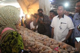 Kemendag pantau harga kebutuhan pokok di Kupang