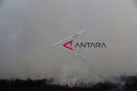 sepanjang 2018, seluas 1.870 hektare lahan di Riau terbakar