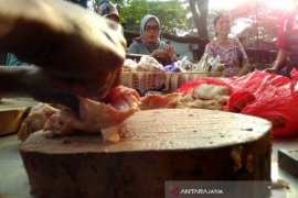 Pedagang Perkirakan Harga Ayam Potong di Bojonegoro Naik