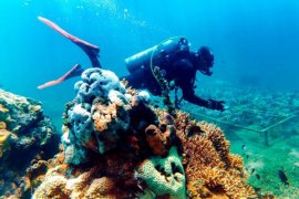 Gandrung Banyuwangi akan Ditampilkan di Dasar Laut