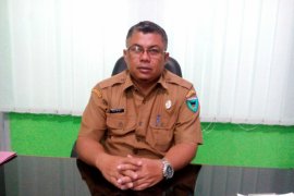 Nagari Owned Enterprises To Develop Creative Business: S Pesisir Official