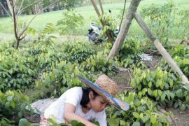 Genbi Unima tanam 1.000 pohon Gunung Mahawu