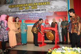 Labuhanbatu canangkan program keluarga berencana