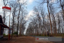 26 Dusun di Bojonegoro Belum Teraliri Listrik PLN