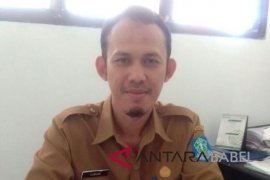 Luas kebun kakao di Bangka 545 hektare