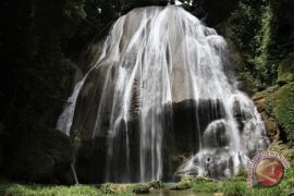 Kemenhut cabut izin tambang di Pulau Wawonii