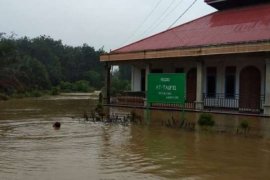 Banjir 2 Desa di Kampar Mulai Surut, BPBD Masih Tetap Berjaga