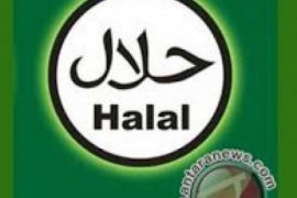 Banyak Makanan Masuk Riau, Kanwil Kemenag Gencarkan Perlunya Labelisasi Halal