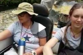 BBKSDA Riau Sends Animal Communicator, A Women from Canada to Track Tiger Bonita