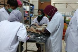 Para calon dokter hewan IPB ikuti pelatihan vaksin dan nekropsi pada ayam
