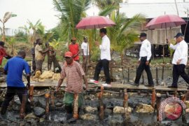 Dua Jokowi dan kesejahteraan anak Papua