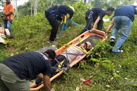 BPBD Sijunjung berhasil evakuasi korban tertimpah pohon