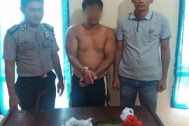 Gerebek Rumah, Polsek Bangko Amankan Pemilik Ganja