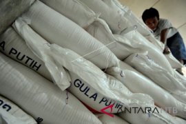 Peneliti CIPS desak kebijakan impor gula dievaluasi keseluruhan