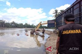 Tim gabungan tangan tangan ilegal loging