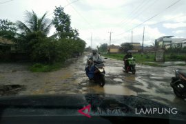 Warga Lampung Selatan minta jalan diperbaiki