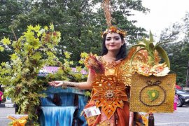 "Kemilau Air Terjun Moramo" perhatian karnaval sultra