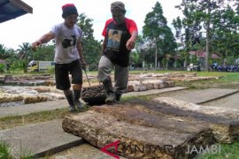 Setahun pengganguran di Jambi bertambah 177.000 orang