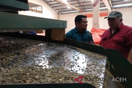 Buyer akui kopi Gayo pantas dihargai mahal