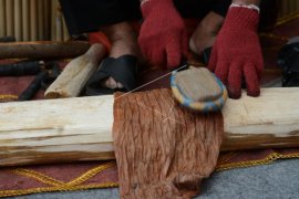 Begini caranya membuat kain dari kulit kayu khas suku Kulawi Page 1 Small