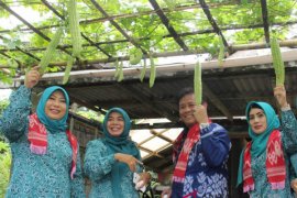 Lapsus Tanah Bumbu : Tim Penggerak PKK