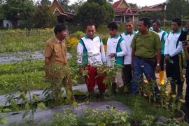 Puluhan Petani Dari 5 Kabupaten Upgrade Pengetahuan Untuk Jadi Petani Yang Lebih Baik