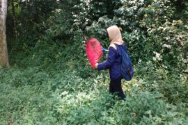 Menilik keragaman kupu-kupu di IPB