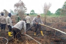Terbakar lagi 50 Hektare, Satgas Kembali Lakukan Pemadaman di Tanah Putih Rohil