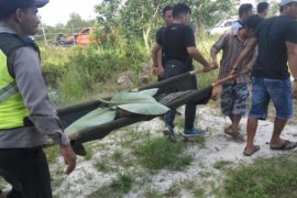 Tertimpa dahan pohon, pria Pahandut Seberang meninggal