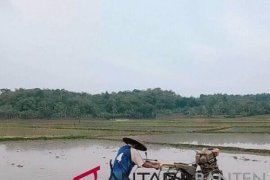 Distanbun Lebak Targetkan Petani Gunakan Traktor