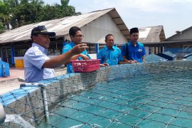 KKP: Ekspor Kerapu Berkurang (Video)