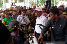 Menteri Pertanian Serahkan Bantuan Ternak di Bondowoso