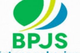 80 Persen Tenaga Honorer dan Buruh Lepas Sebagian Pekanbaru Kampar Rohul Belum Terdaftar BPJS Ketenagakerjaan