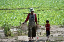 BPBD Bojonegoro Koordinasikan Penanganan Kekeringan