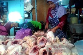 Harga Daging Ayam Potong di Bojonegoro Turun Jadi Rp35.000/Kilogram (Video)