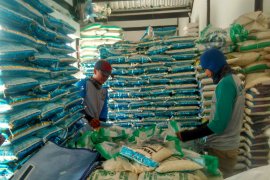 Pedagang Bojonegoro Perkirakan Harga Beras Naik
