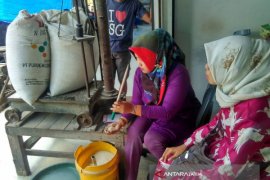 Harga Beras Premium Bojonegoro Stabil Rp8.800/kilogram