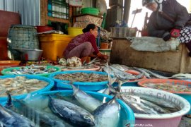 Pedagang Tuban  Perkirakan Harga Ikan Laut Naik Masuk Ramadhan