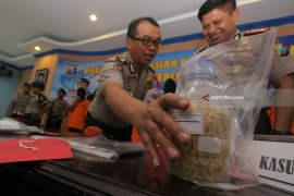 Illegal Fishing Dan Penyelundupan Benih Lobster