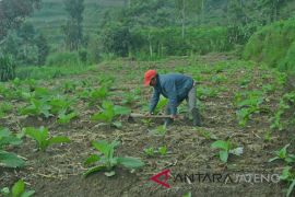 Merapi kembali bergemuruh, warga Stabelan Boyolali diminta lebih waspada